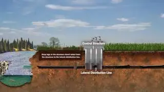 Research Substantiates Effectiveness of Saturated Buffers Strips