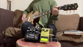 Strymon Iridium / Boss SD-1 / Tokai