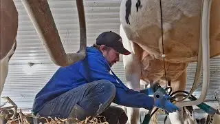 Preparing To Rebuild Our Dairy Barn (Part 1) Life After Disaster!!!