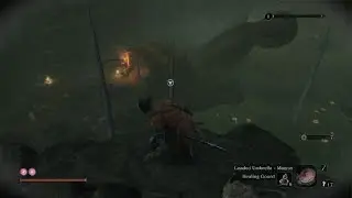 Sekiro: Shadows Die Twice - Snake eyes Shirahagi boss