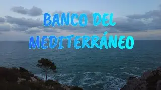EL BANCO DEL MEDITERRÁNEO - DESFILADERO -  PLAYA LA RENEGA - OROPESA DEL MAR - CASTELLÓN - ESPAÑA.