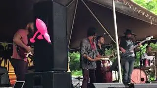 Fish House Road | Hardball With the Devil | Live at Slug's Paradise