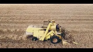 Last Harvest of 2023 Featuring 1963 Claeys M103 Combine Harvester