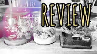 Tarantula Room Enclosures REVIEW - I HAVE THEM ALL!!! Available at The Spider Shop UK