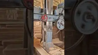 Maharashtra neem wood 14feet round logs Horizontal band saw cutting process big size