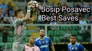 Josip Posavec ● Best saves 2016/2017 ● HD