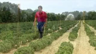 Lexington One Dream Big Farming