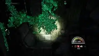 Furry plays chernobylite
