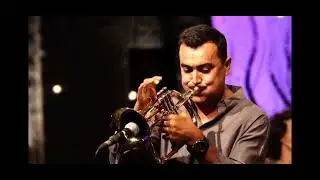 &ldquo;Alma Brasileira&rdquo; de Zeca Freitas