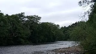 River Earn, Scotland live!