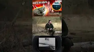 Весенняя охота на бобра в Беларуси! Как правильно охотится?