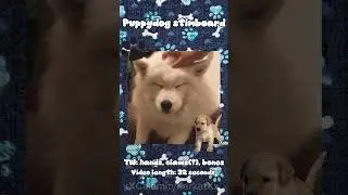 Dog stimboard repost bc I forgot 2 add a sound TwT #dog #stimboard #puppy #autism #therian #furry