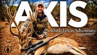 AXIS Buck- Bobcat DOUBLE! Sonora TX