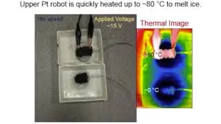 2019 Multifunctional metallic backbones for origami robotics with strain sensing and wireless co...2