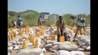 Developing governance arrangements for loss and damage: Lessons from diverse national contexts