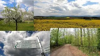 Filderstadt - Wanderung um Harthausen - Rapsbl&uuml;te, Apfelbl&uuml;te - Ausblick auf die schw&auml;bische Alb