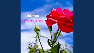 Mon ami la rose