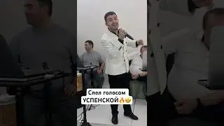 К единственному нежному - Миша Серобян (пародия) #live #music #singer #show
