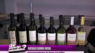 Posicionamiento de vinos de altura de Salta