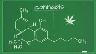 Hemp oil and cosmetics