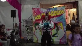 Payacocos