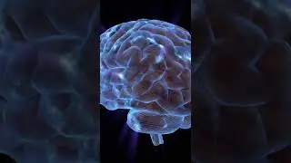 Moral Psychology: Understanding the Inner Workings of Moral Behavior