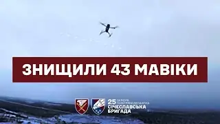 Повітряна війна дронів на Покровському напрямку