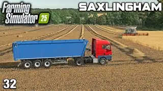 FIRST HARVEST OF THE MEGA BARLEY FIELD! Saxlingham FS25 Ep 32