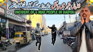 Incident Of 6 Mad People Bite In Dadyal Azad Kashmir || Big Rola Of Pagal Bandas In Dadyal City