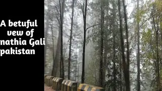 Nathia Gali Pakistan 