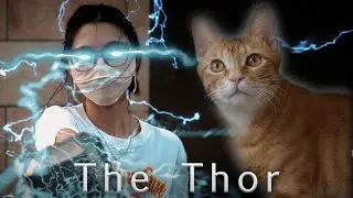 Thor: The God of Cat Rescue. #drama #thor #rescue