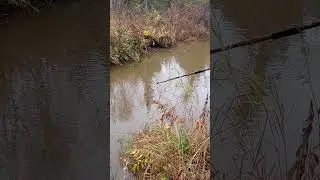 Браконьер , А ВЫ КТО?