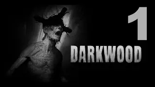Darkwood - Cap&iacute;tulo 1: Pr&oacute;logo.