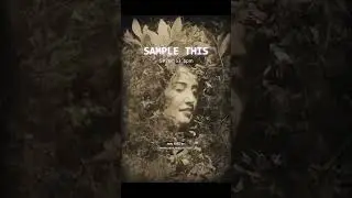 Sample this 57 #gaming #musicproducer #music #flstudio #gameplay #producer