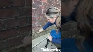 Bridged or failed Damp proof course?