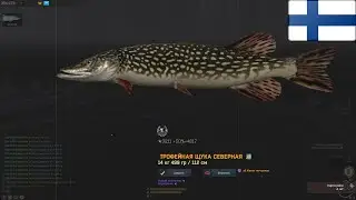 Fisher Online Финляндия: о.Кулгу - Щука северная. Серебряный кубок. Трофейное место. Finland