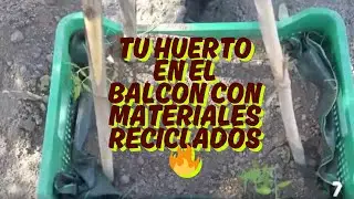 Haz Tu Propio Huerto en el Balcón! Cultiva Vida Aunque No Tengas Jardín 🏙️🌿🪴