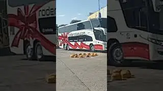 RODEROTAS ROTAS DO TRIANGULO  I  MARCOPOLO PARADISSO NEW G7 1800DD  I  GOIANIA X S&Atilde;O PAULO