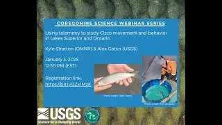 Using telemetry to study Cisco movement and behavior in Lakes Superior and Ontario