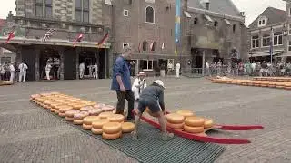 Cheese Market in Alkmaar, The Netherlands