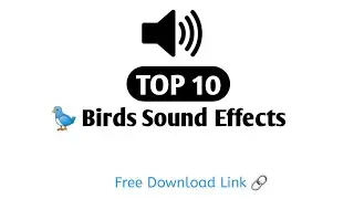 Top 10 Birds Sound Effects | No Copyright & Free Download Link | Creator Factory