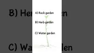 Garden Trivia Challenge! 🌿🌸 #Shorts #Trivia