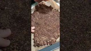 KETO GRANOLA SELBER MACHEN MIT BLAUBEERJOGHURT - KETO GRANOLA RECEPT - GRANOLA HEALTHY #hanumakocht
