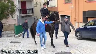 Sant'Angelo Muxaro (AG) - Sfilata equestre 2018