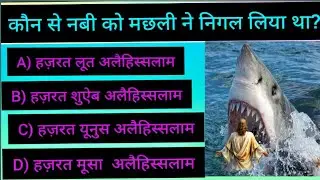 इस्लामी सवाल-जवाब | किस नबी को मछली ने निगल लिया था? | Islamic Quiz | Best Islam