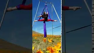 Portable Rig From Vertical Art Dance