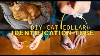 ID TUBE and breakaway CAT COLLAR