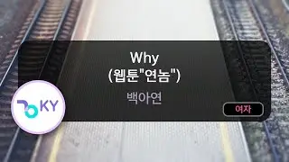 Why (웹툰