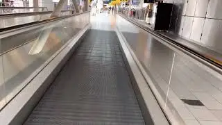 My journey from Denmark to India during Covid-19 season at Amsterdam airport-5