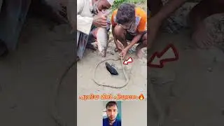 പുതിയ മീൻ പിടുത്തം #mallutraveler#fishingfreaks#shorts#mallu#malayalam#m4tech